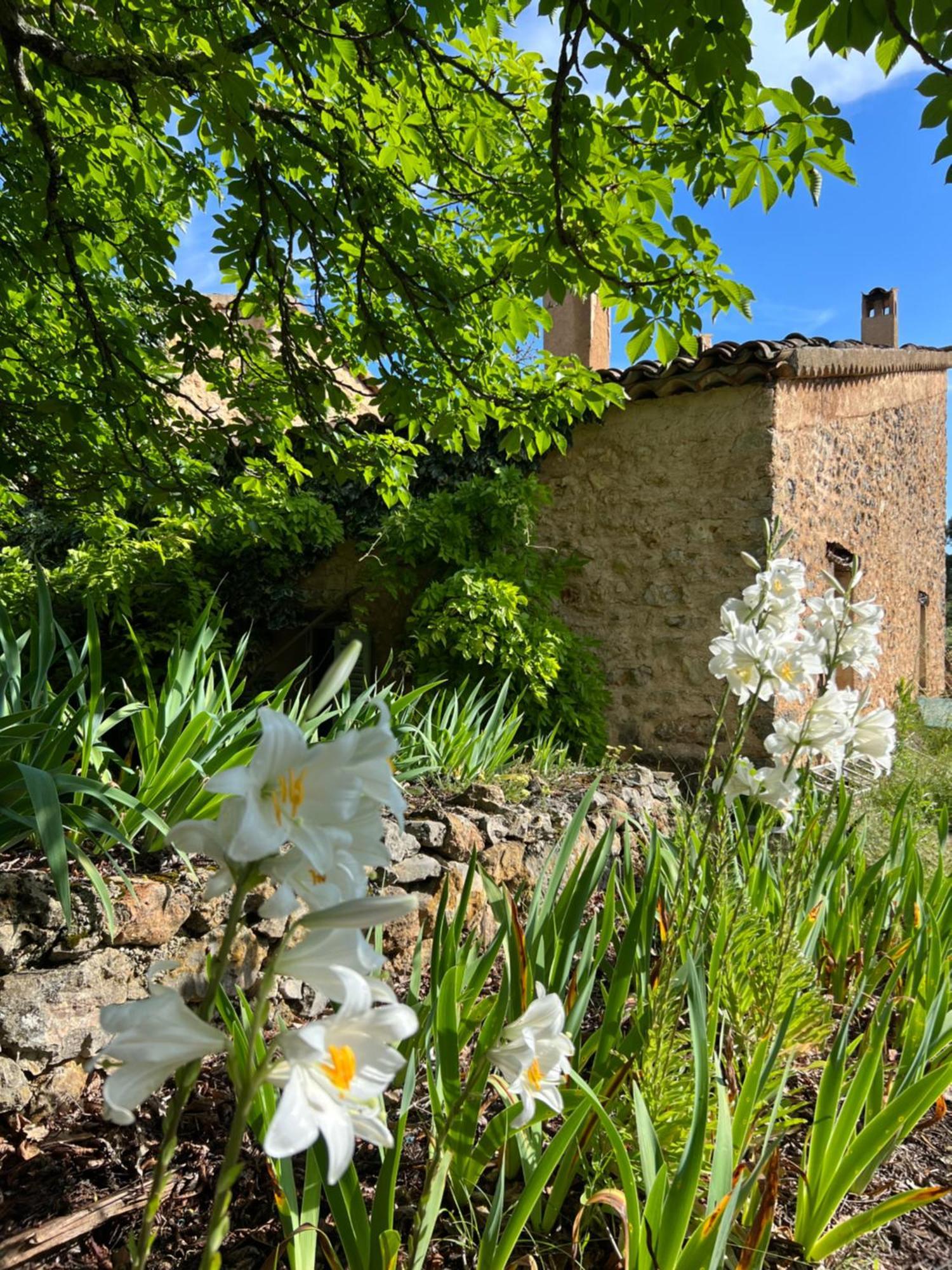 Charmant Appartement Independant Au Sein D'Un Mas Provencal 오프스 외부 사진